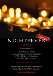 141113_Nitra_Flyer